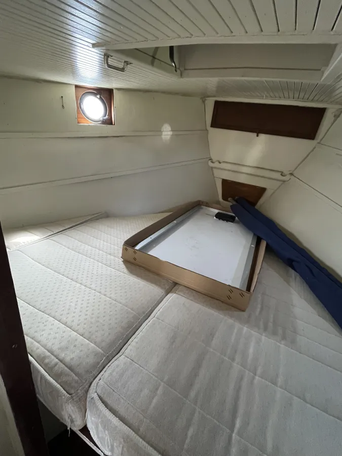 Staal Zeilboot Danish Rose 31