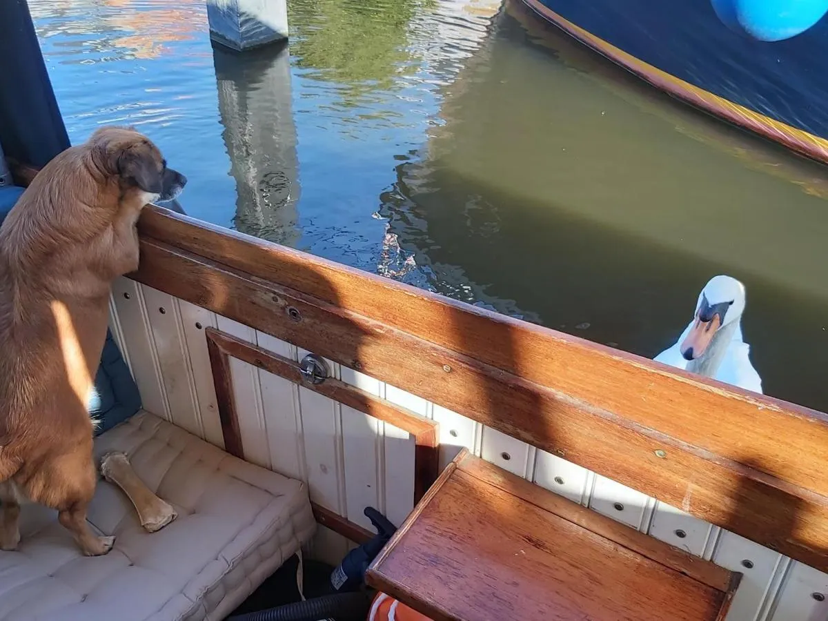 Staal Motorboot Bakdekker 900