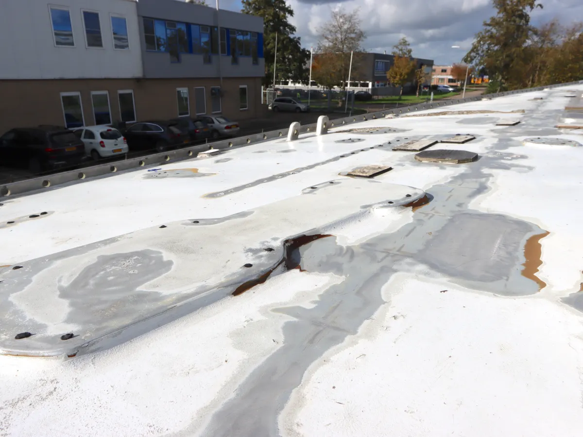 Aluminum Zeilboot Sparkman & Stephens 61