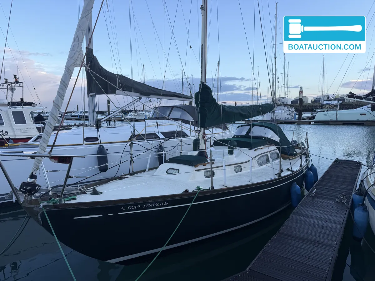 Thumbnail - Tripp Lentsch 29