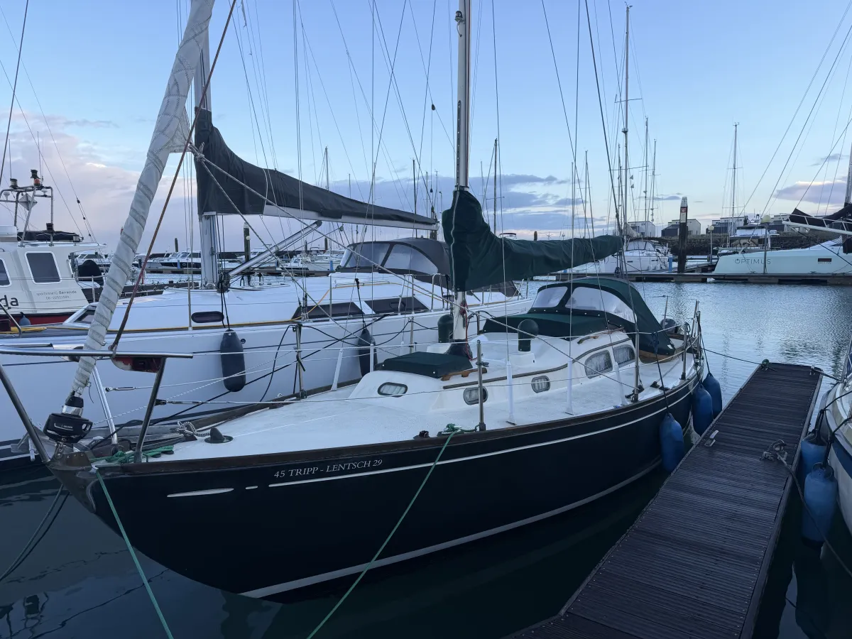 Polyester Voilier Tripp Lentsch 29