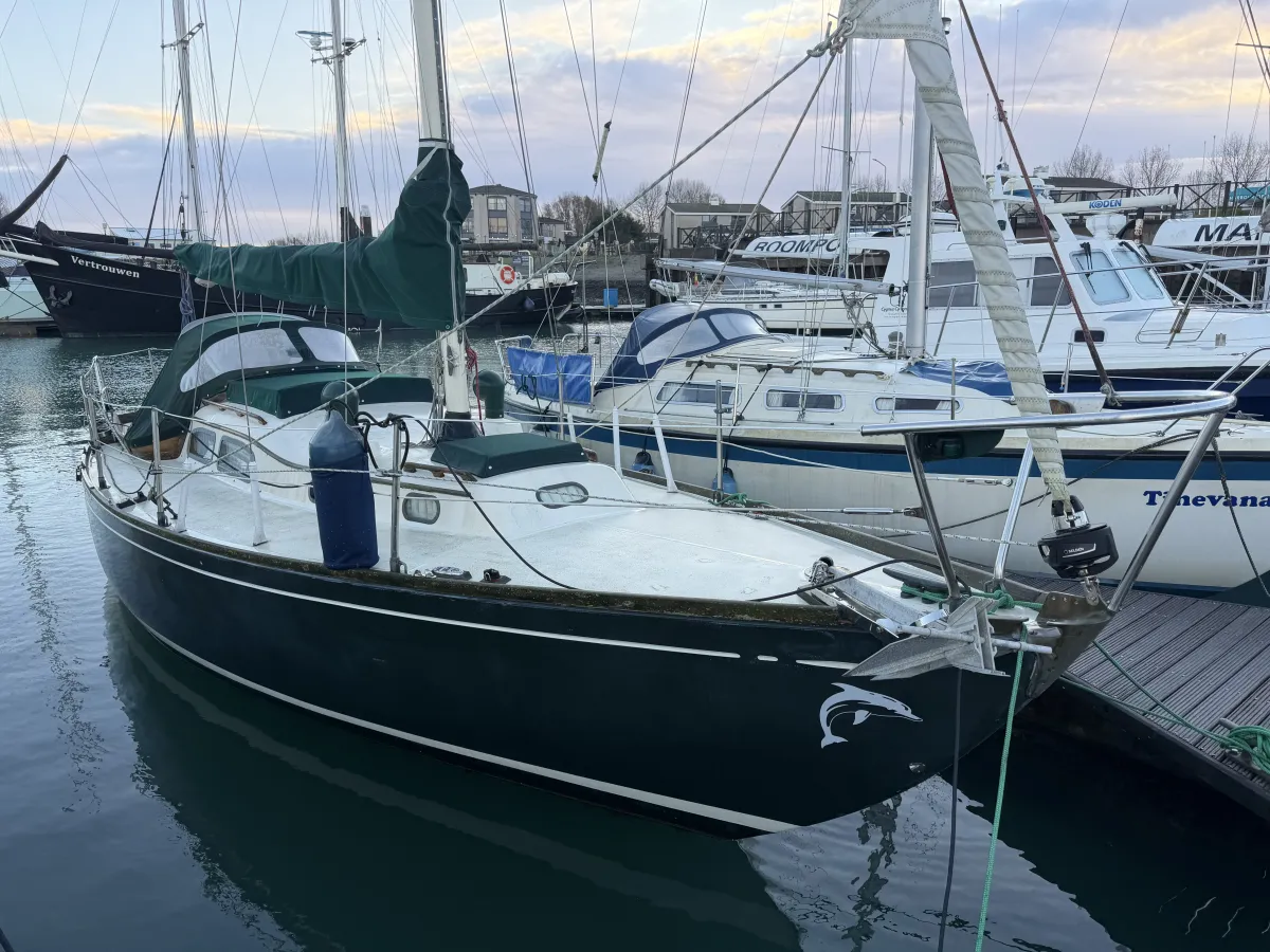 Polyester Voilier Tripp Lentsch 29