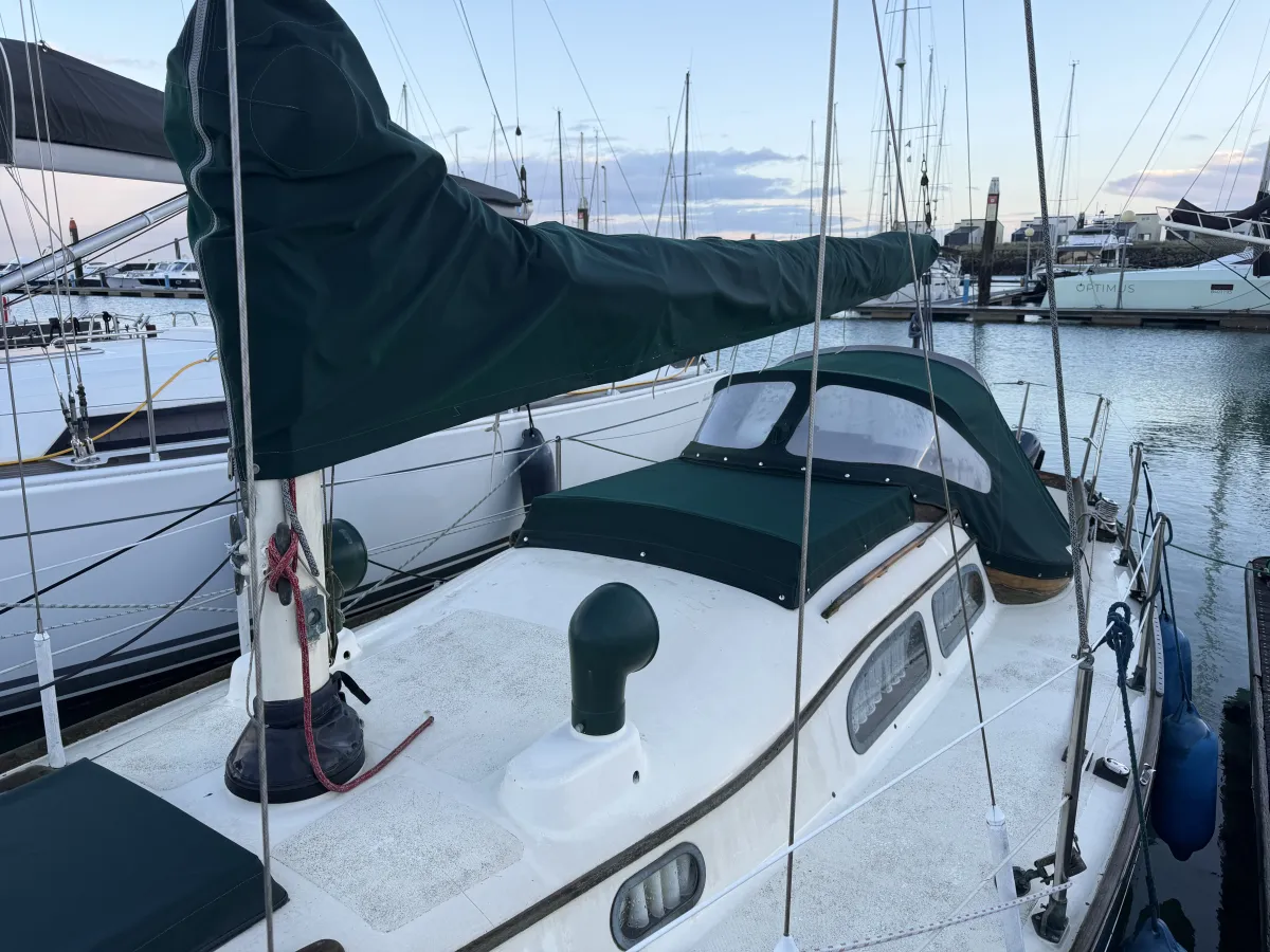 Polyester Voilier Tripp Lentsch 29