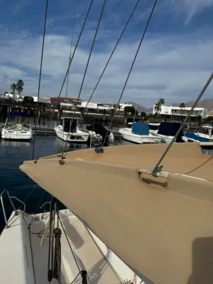 Polyester Zeilboot J/Boats J80 Foto 8