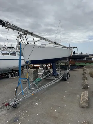 Polyester Zeilboot J/Boats J80 Foto 32