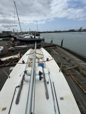 Polyester Zeilboot J/Boats J80 Foto 24