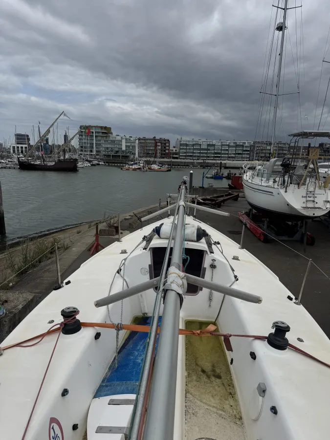 Polyester Zeilboot J/Boats J80