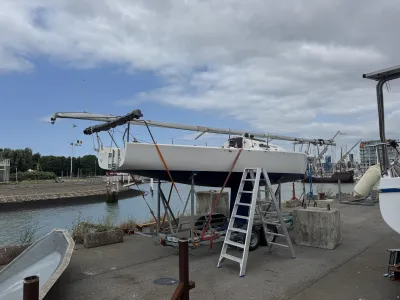 Polyester Zeilboot J/Boats J80 Foto 34