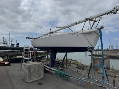 Polyester Zeilboot J/Boats J80 Foto 37