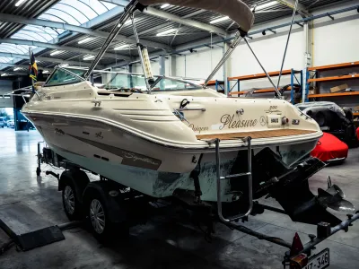 Polyester Motorboot Sea Ray 200 Signature Foto 2