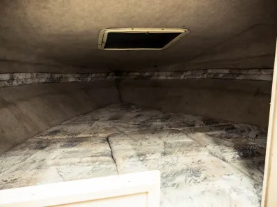 Polyester Motorboot Sea Ray 200 Signature Foto 38