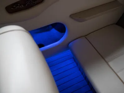 Polyester Motorboot Sea Ray 200 Signature Foto 42