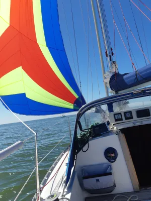 Polyester Sailboat Friendship 28 Photo 2