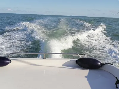 Polyester Motorboat Quicksilver 650 Cruiser Photo 5
