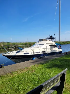 Polyester Bateau à moteur Sealine 305 fly Photo 26