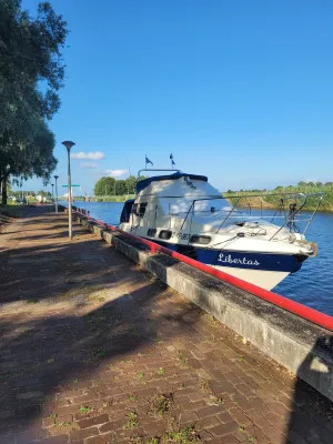 Polyester Bateau à moteur Sealine 305 fly Photo 27