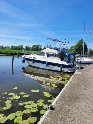 Polyester Bateau à moteur Sealine 305 fly Photo 28