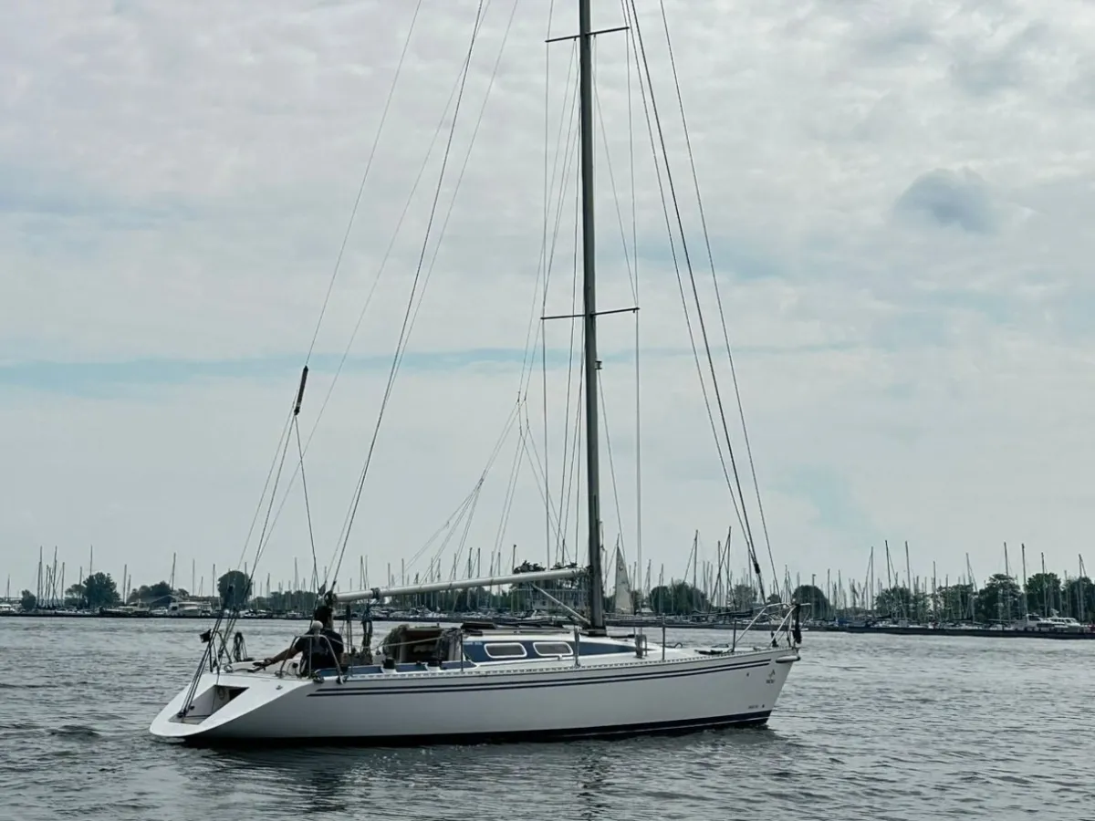 Polyester Segelboot Diamant 3000