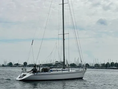 Polyester Segelboot Diamant 3000 Foto 6