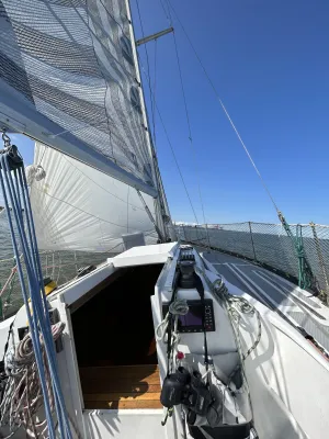 Polyester Segelboot Helmsman 31 Foto 10