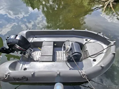 Anderes Material Offenes Motorboot Whaly 310 Foto 6