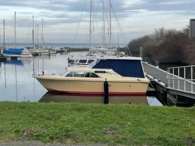 Polaris Beta de luxe