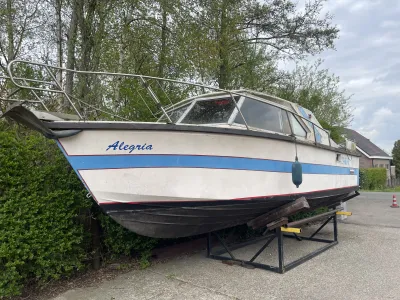 Motorboat 800