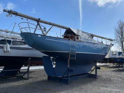 Staal Zeilboot Trintel IIA Foto 3