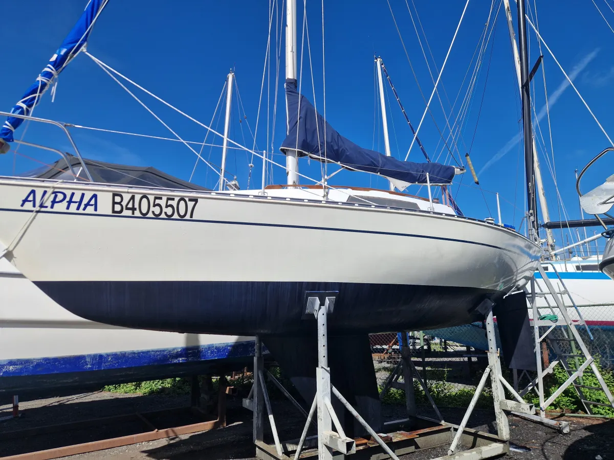 Polyester Zeilboot Trapper 300