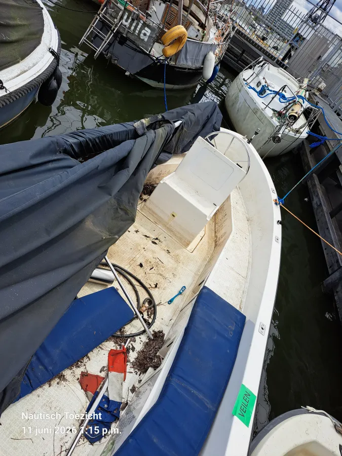 Polyester Budgetboat Nova Zembla 650