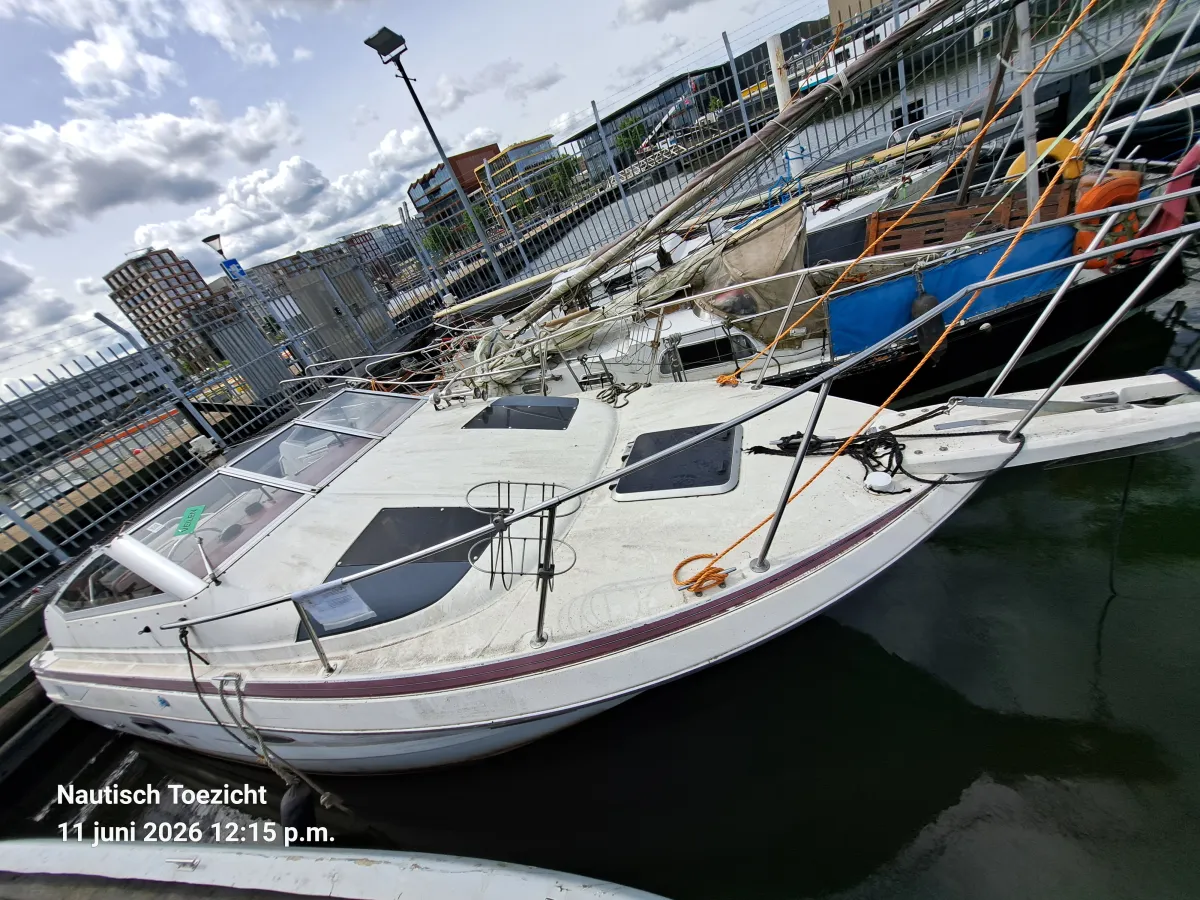 Polyester Budgetboat Maxum 770