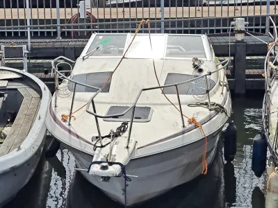 Polyester Budgetboat Maxum 770 Photo 3