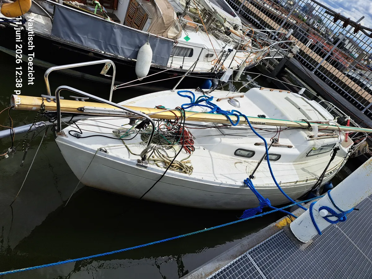 Polyester Budgetboat Cabin sailboat 820
