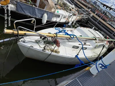 Polyester Budgetboat Cabin sailboat 820 Photo 0
