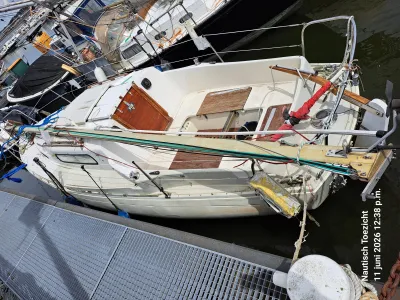 Polyester Budgetboat Cabin sailboat 820 Photo 8