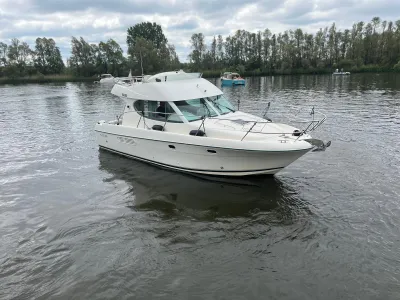 Polyester Motorboot Jeanneau Prestige 32 Foto 40