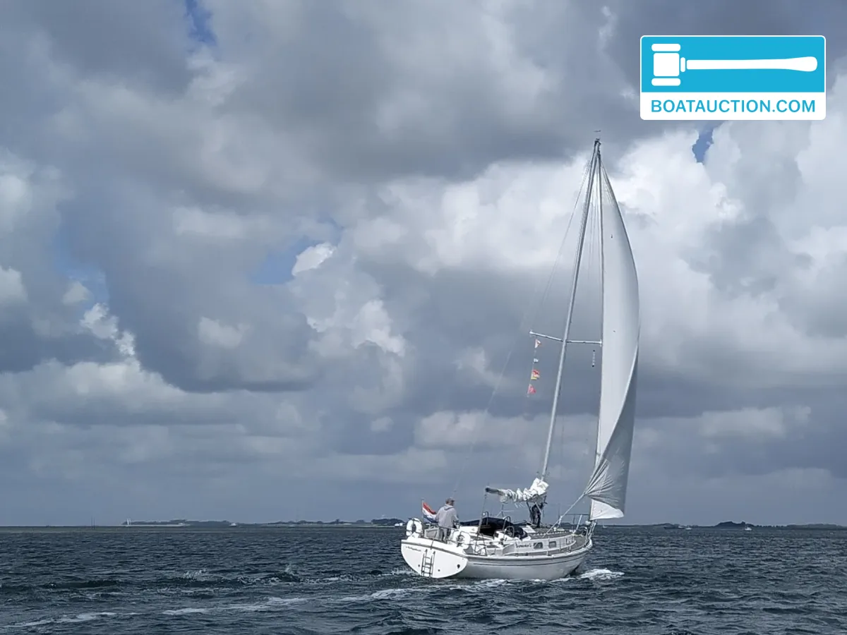 Thumbnail - Westerly Discus 33