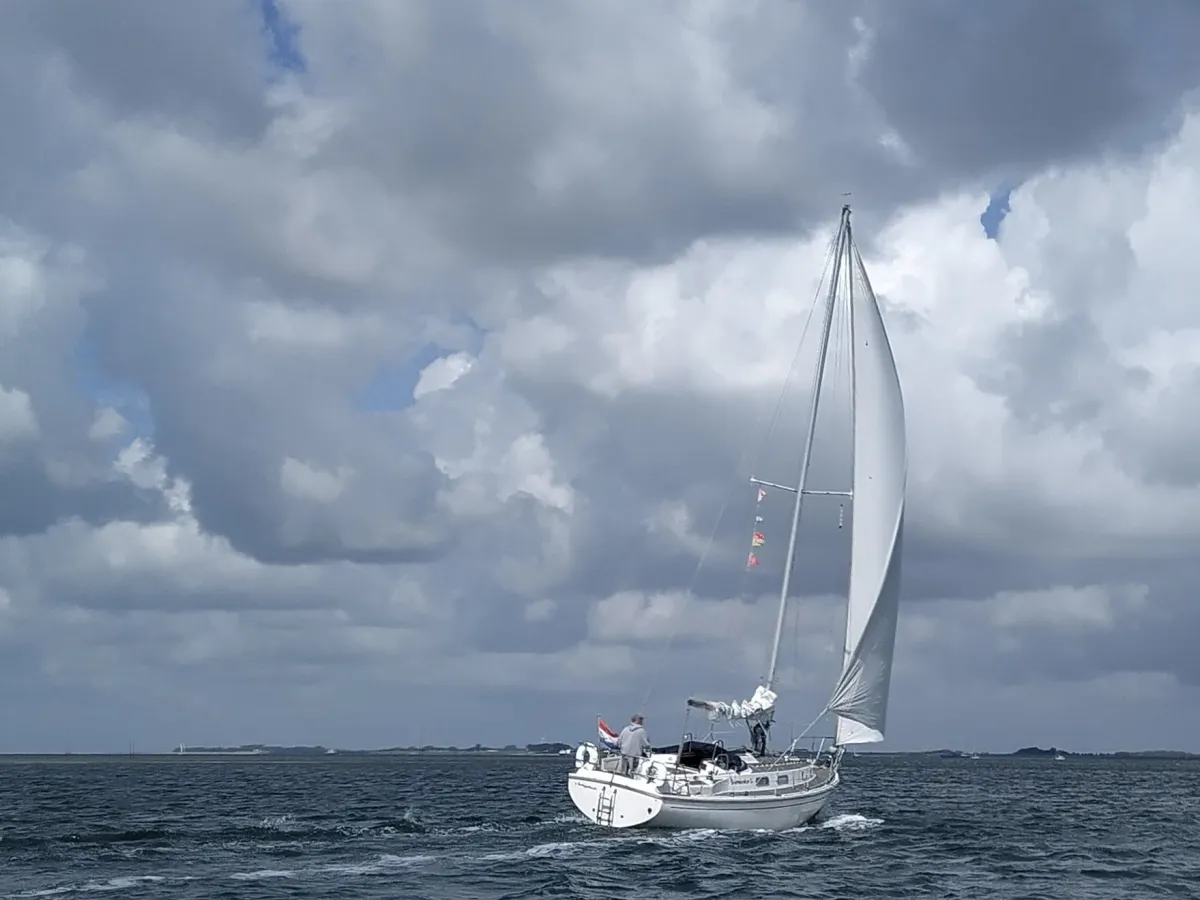 Polyester Zeilboot Westerly Discus 33