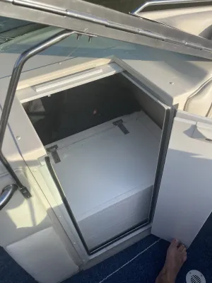 Polyester Speedboot Crownline 266 BR Foto 7