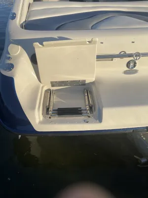 Polyester Speedboot Crownline 266 BR Foto 9