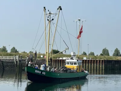 Staal Werkboot Kotter Bru 45 Foto 38