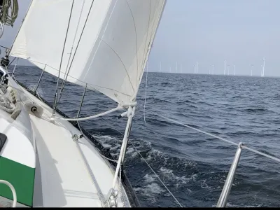 Hout Zeilboot Van de Stadt 37 Foto 4