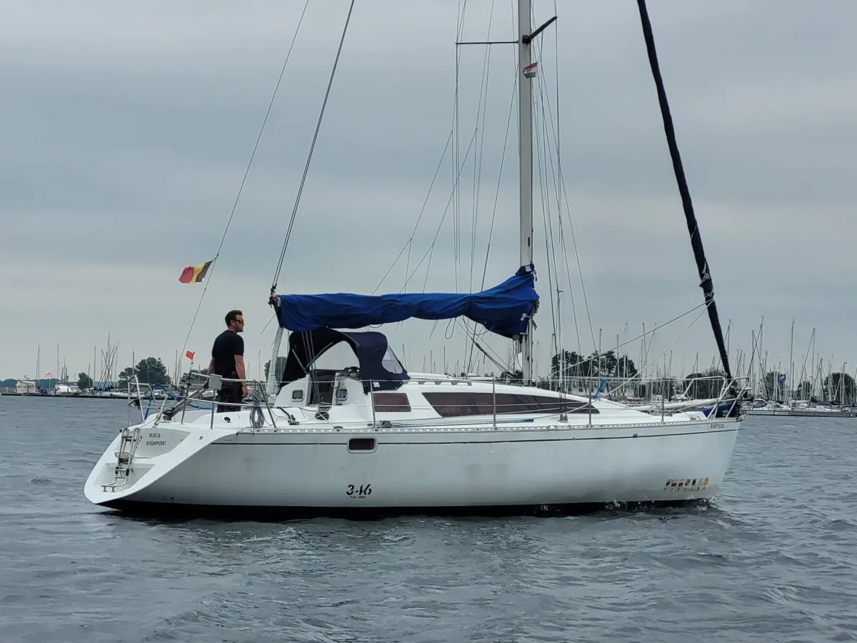 Polyester Sailboat Feeling 346