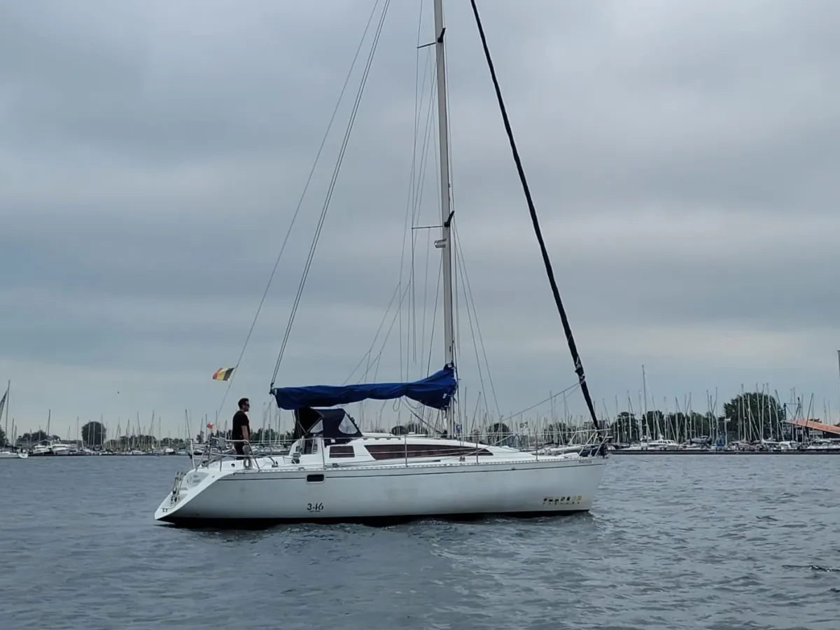 Polyester Sailboat Feeling 346