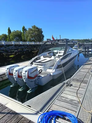 Polyester Schnellboot Crownline 315 SCR Foto 5