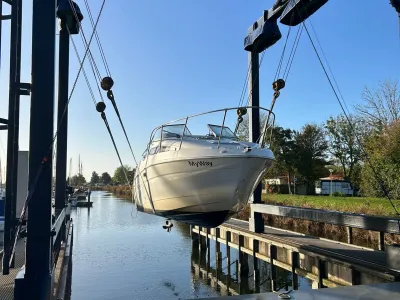 Polyester Speedboot Bayliner 2355 Foto 15