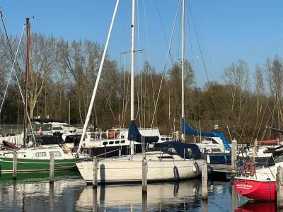Polyester Sailboat Beneteau First 30 Photo 1
