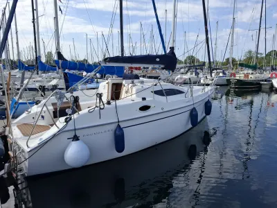 Viko 27 DS