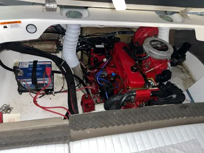 Polyester Speedboat Glastron SX175 Photo 4