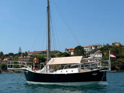 Danish Rose 1000
